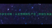 母犬怀孕全攻略从发情期到生产全附接生准备清单