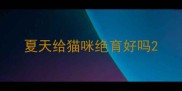 夏天给猫咪绝育好吗