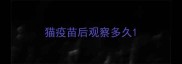 猫疫苗后观察多久