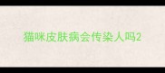 猫咪皮肤病会传染人吗