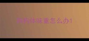 狗狗体味重怎么办