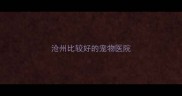 沧州比较好的宠物医院