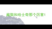 藏獒和哈士奇那个厉害
