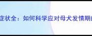 泰迪母狗发情期症状全如何科学应对母犬发情期的10大关键措施