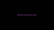 狗狗吃完东西就打嗝