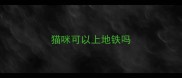 猫咪可以上地铁吗