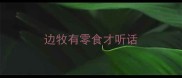 边牧有零食才听话