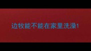 边牧能不能在家里洗澡