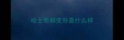 哈士奇脚变形是什么样