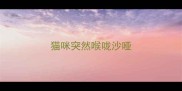 猫咪突然喉咙沙哑