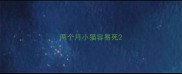 两个月小猫容易死