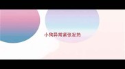 小狗异常紧张发热