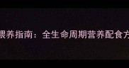 拉布拉多科学喂养指南全生命周期营养配食方案与常见误区