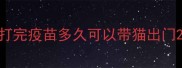 打完疫苗多久可以带猫出门