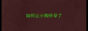 如何让小狗怀孕了