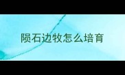 陨石边牧怎么培育
