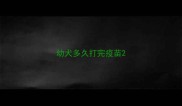 幼犬多久打完疫苗