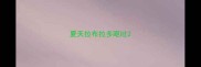 夏天拉布拉多呕吐