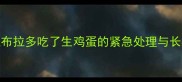 宠物误食生鸡蛋怎么办拉布拉多吃了生鸡蛋的紧急处理与长期预防指南附兽医建议