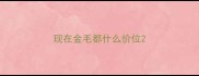 现在金毛都什么价位