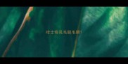 哈士奇乳毛脱毛期