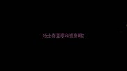 哈士奇蓝眼和鸳鸯眼