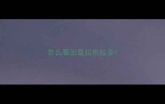 怎么看出是拉布拉多