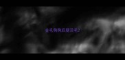 金毛狗狗后腿没毛