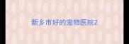 新乡市好的宠物医院