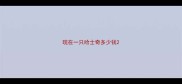 现在一只哈士奇多少钱
