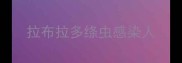拉布拉多绦虫感染人