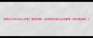 狗狗无力发抖怎么回事紧急预警这8种情况家长必须警惕附自救指南
