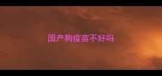 国产狗疫苗不好吗