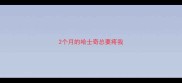 2个月的哈士奇总要疼我