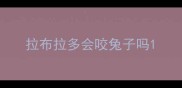 拉布拉多会咬兔子吗