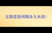 五联疫苗间隔多久失效