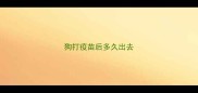 狗打疫苗后多久出去