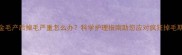 金毛产后掉毛严重怎么办科学护理指南助您应对疯狂掉毛期