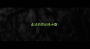 血统纯正的哈士奇