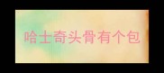 哈士奇头骨有个包