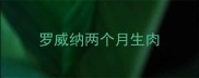 罗威纳两个月生肉