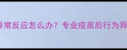 狗狗打疫苗后出现异常反应怎么办专业疫苗后行为异常及家庭护理指南