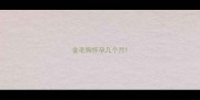 金毛狗怀孕几个月