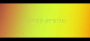 小拉布拉多颈部皮很松