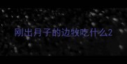 刚出月子的边牧吃什么