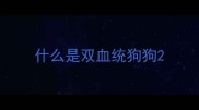 什么是双血统狗狗
