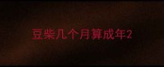 豆柴几个月算成年