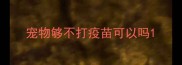 宠物够不打疫苗可以吗