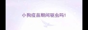 小狗疫苗期间驱虫吗