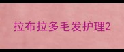 拉布拉多毛发护理